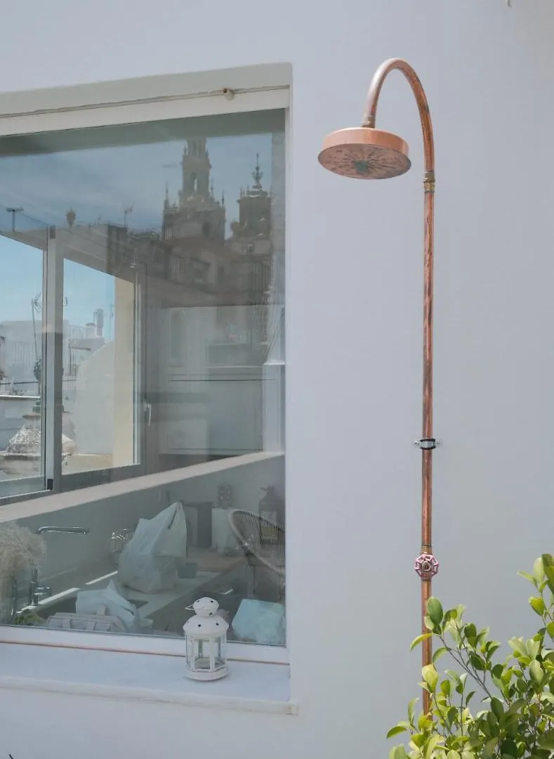 Luminoso Atico Con Terraza Privada Junto A La Catedral Apartment Seville 0*,