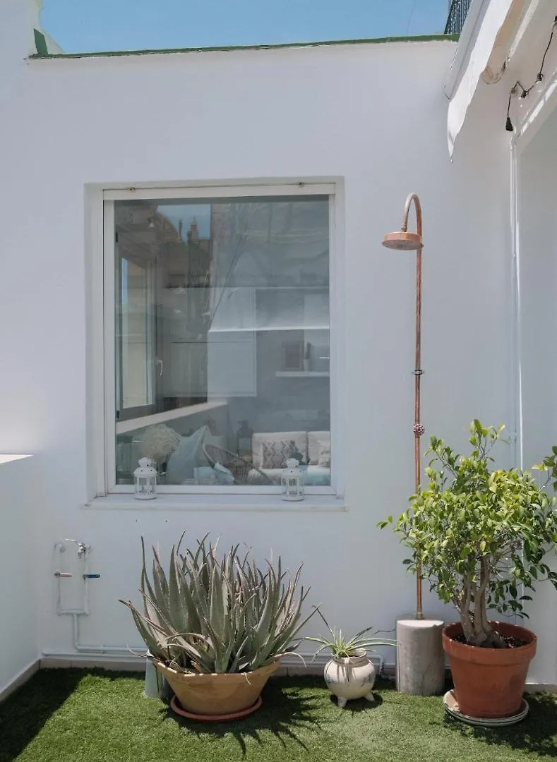 Luminoso Atico Con Terraza Privada Junto A La Catedral Apartment Seville